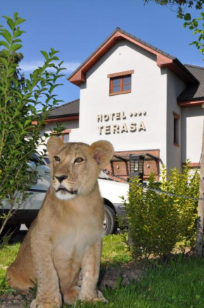 Гостиница Hotel Terasa, Фрыдек-Мистек